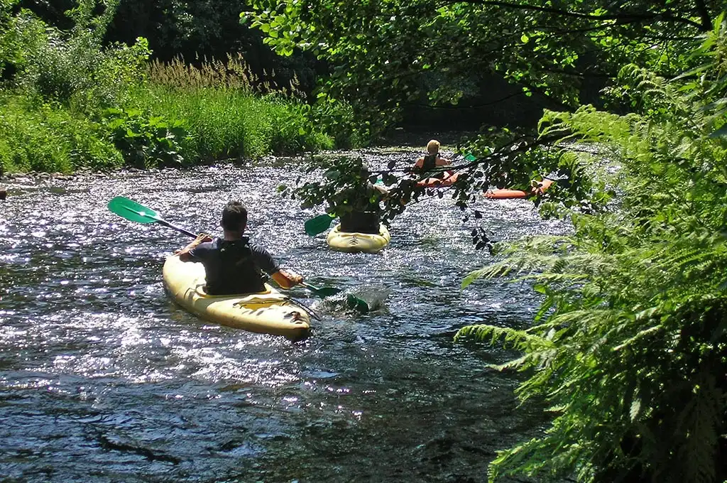 Trois kayakistes descendent une rivière peu profonde et ensoleillée, bordée de fougères et de feuillus