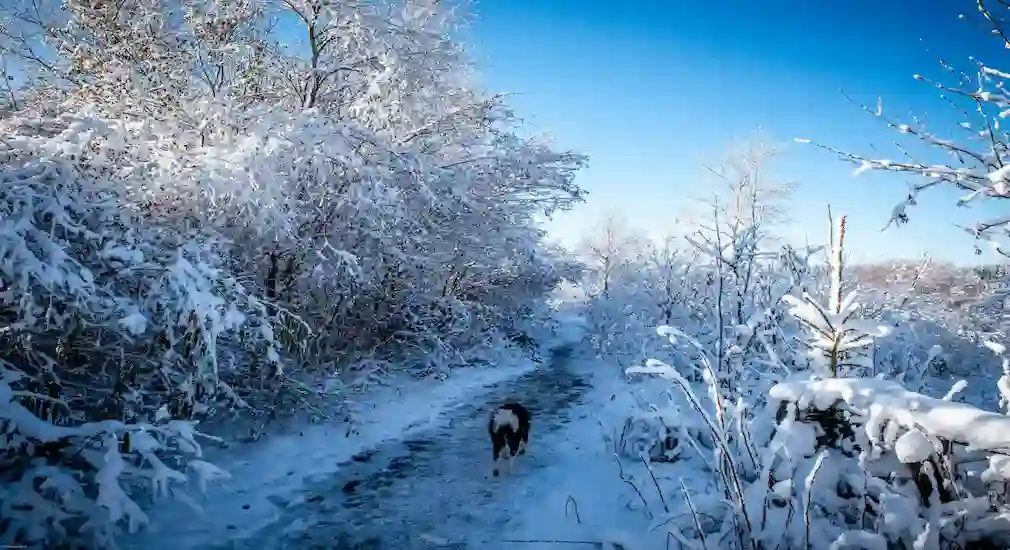 Panorama Vresse